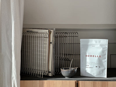 Recharge Horelle posée sur une enfilade en bois, à côté d'une collection de vinyles